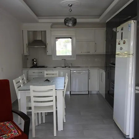 Serpil Villa *